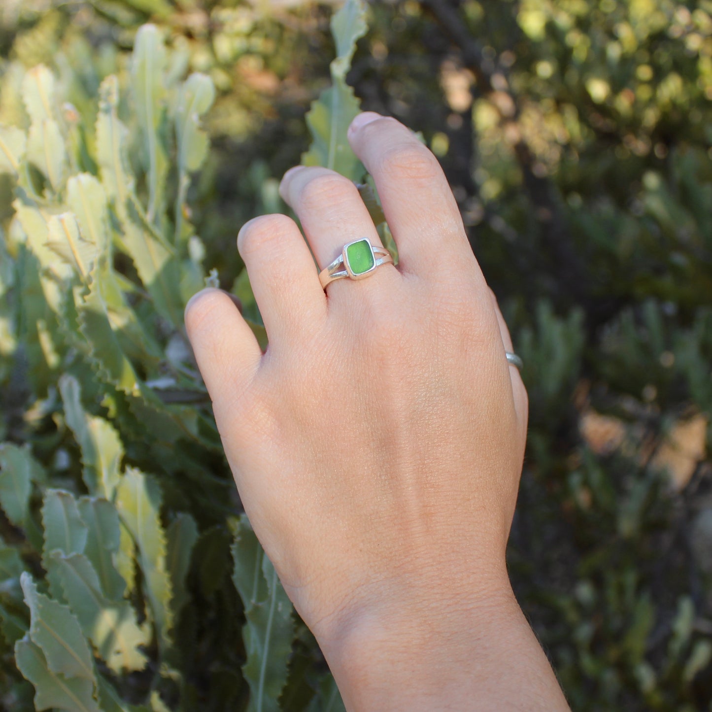 Green Sea Glass - Size R 1/2