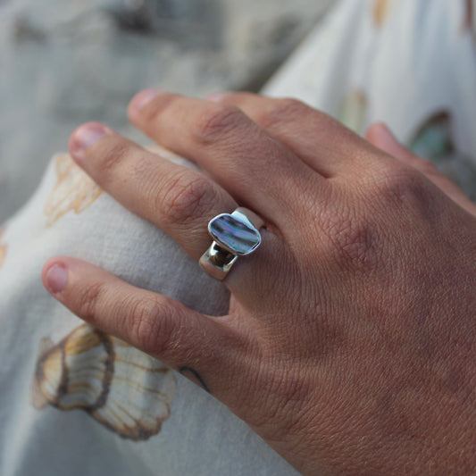 Abalone Wave - Size N 1/2