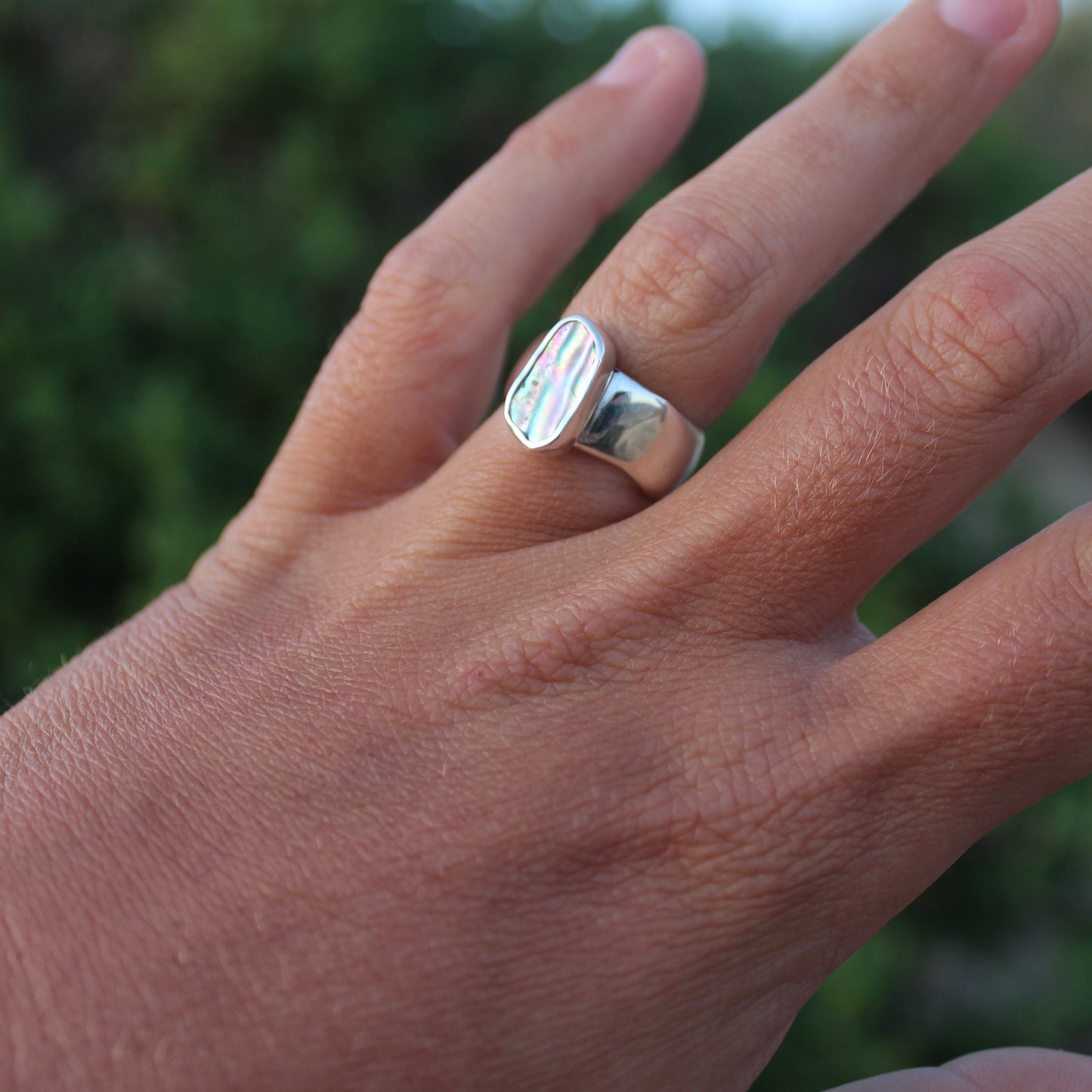Abalone Wave - Size N 1/2