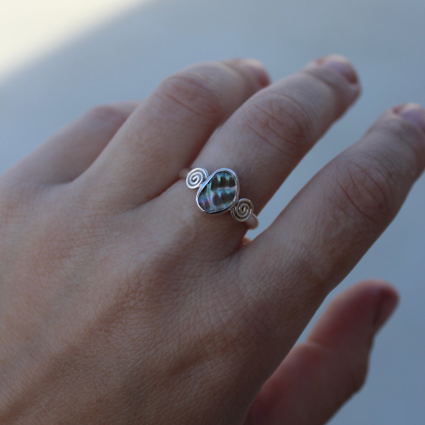 Abalone - Size P 1/2