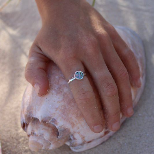 Abalone - Size M 1/2