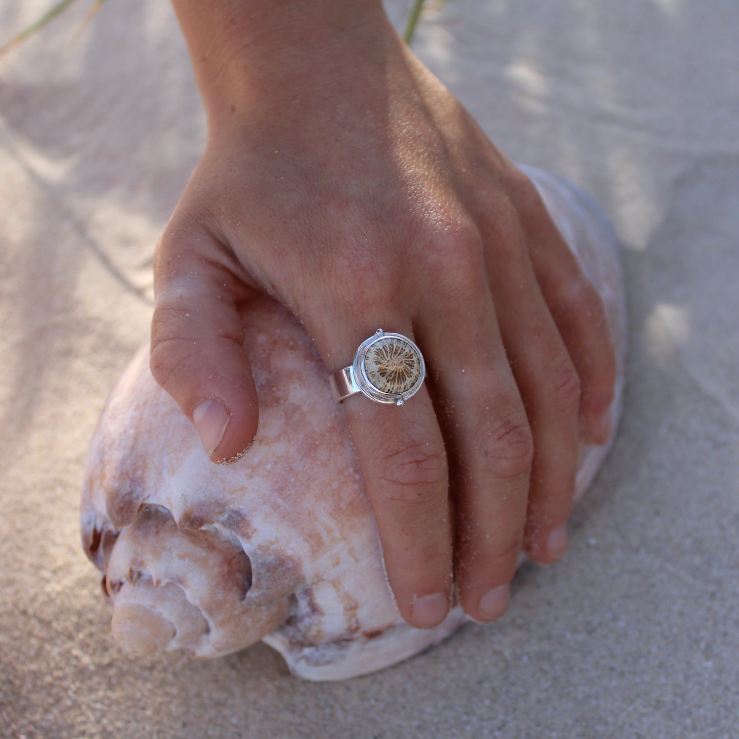 Fossilised Coral - Size Q