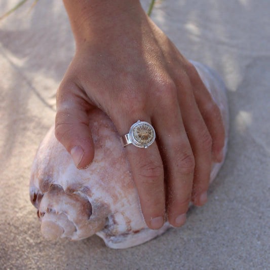 Fossilised Coral - Size Q