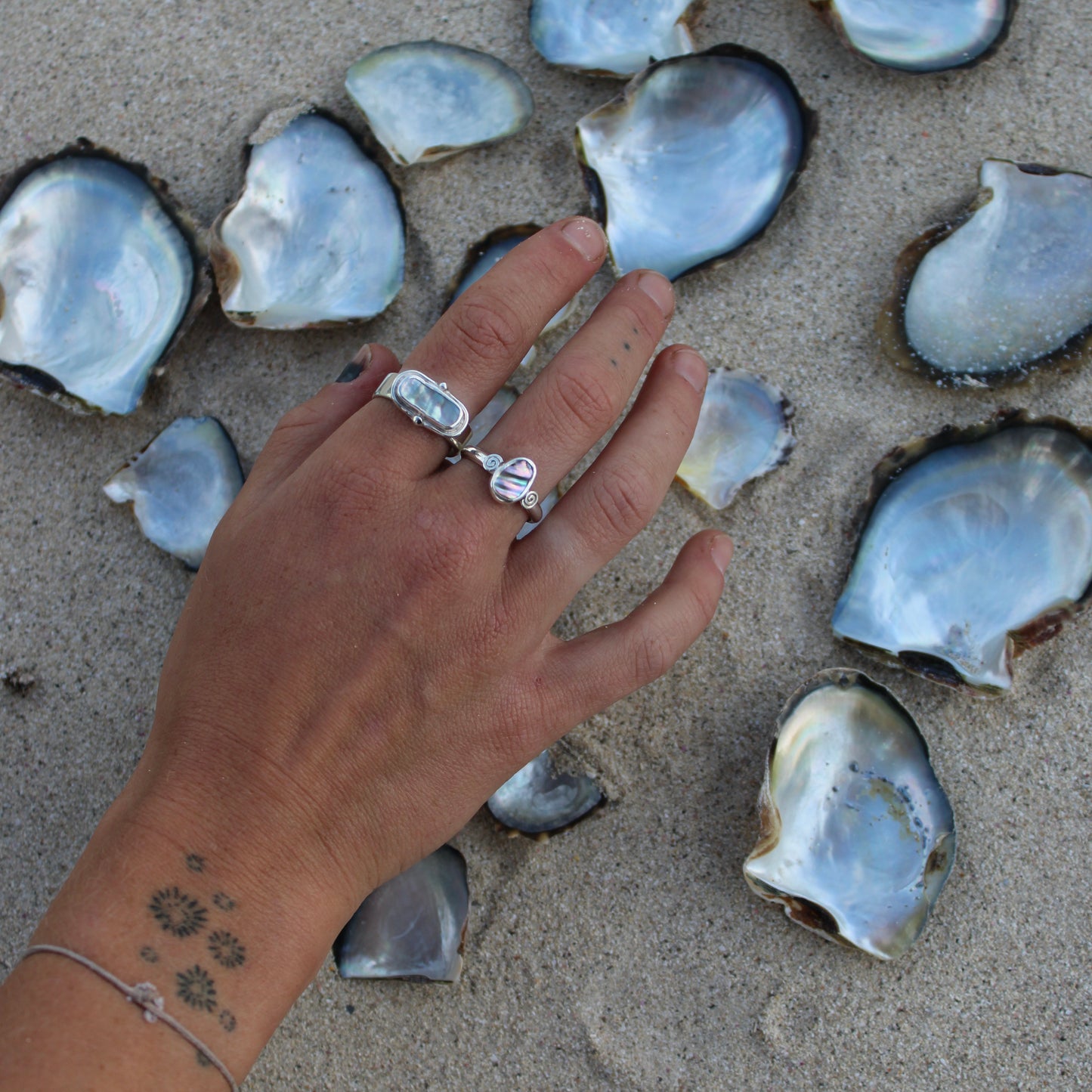 Abalone - Size  S 1/2