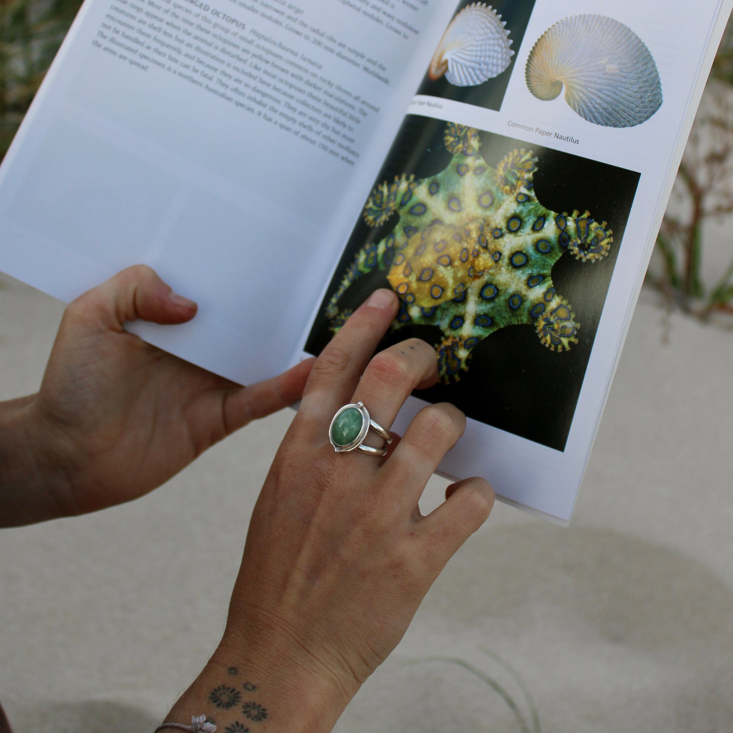 Green Fluorite - Size Q 1/2