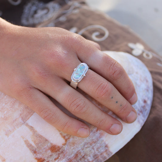 Abalone - Size  S 1/2