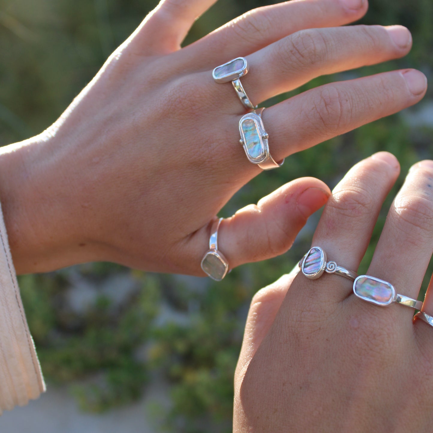 Abalone - Size  S 1/2